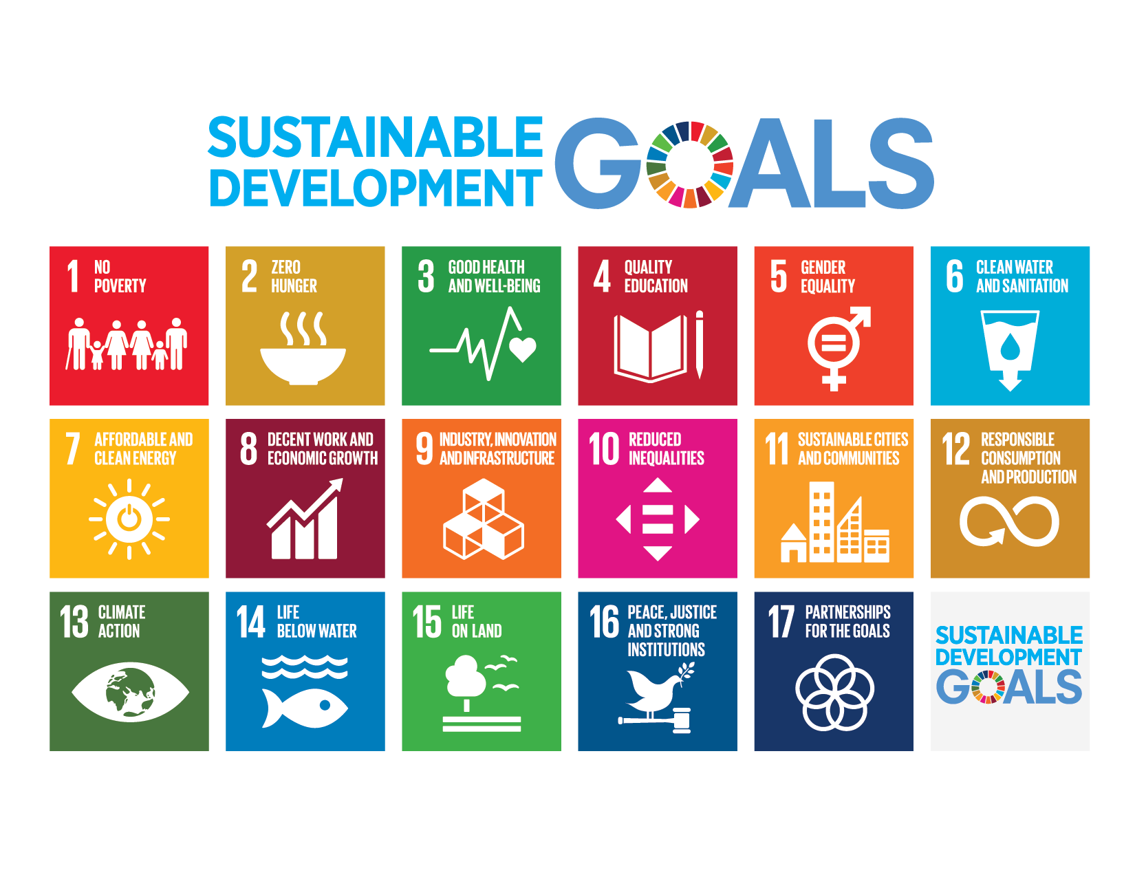 What are UN Sustainable Development Goals (SDGs)?