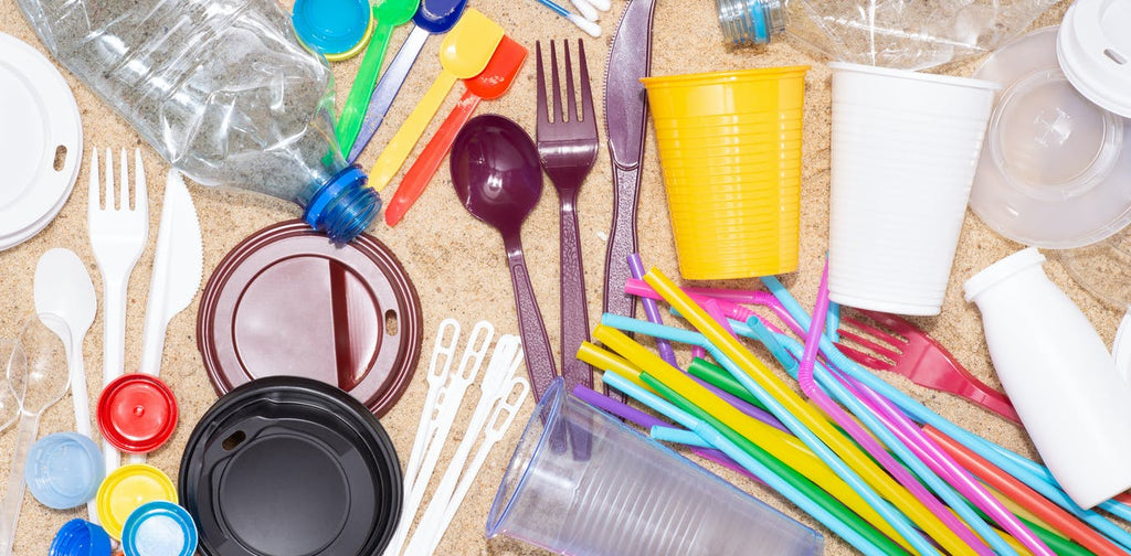 What is single use plastic and why is it a problem?